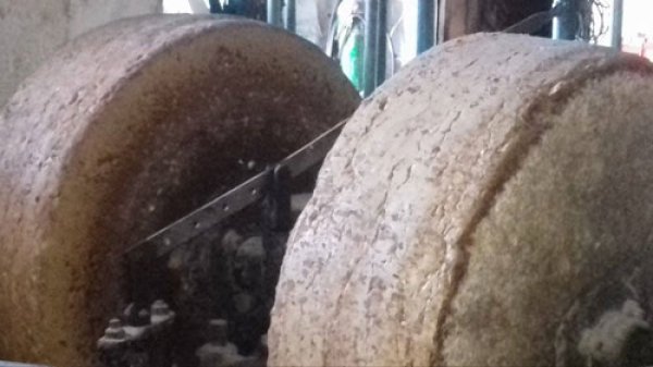 معصرة الزيت القديمة في القرية