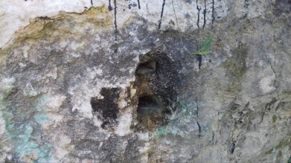 نبعة وادي نعلين