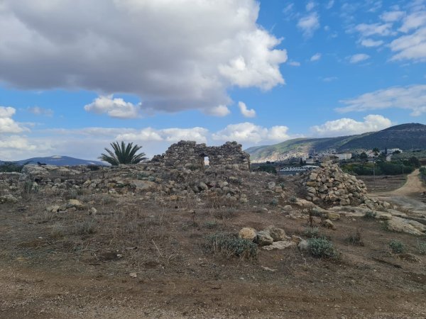 عدسة داود مصطفى قبها