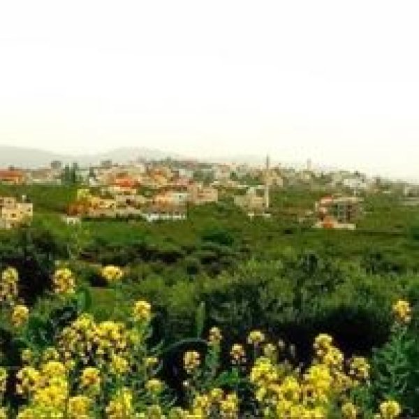 السيلة الحارثية / جنين