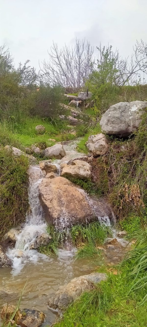 قرية بيت سوريك / القدس