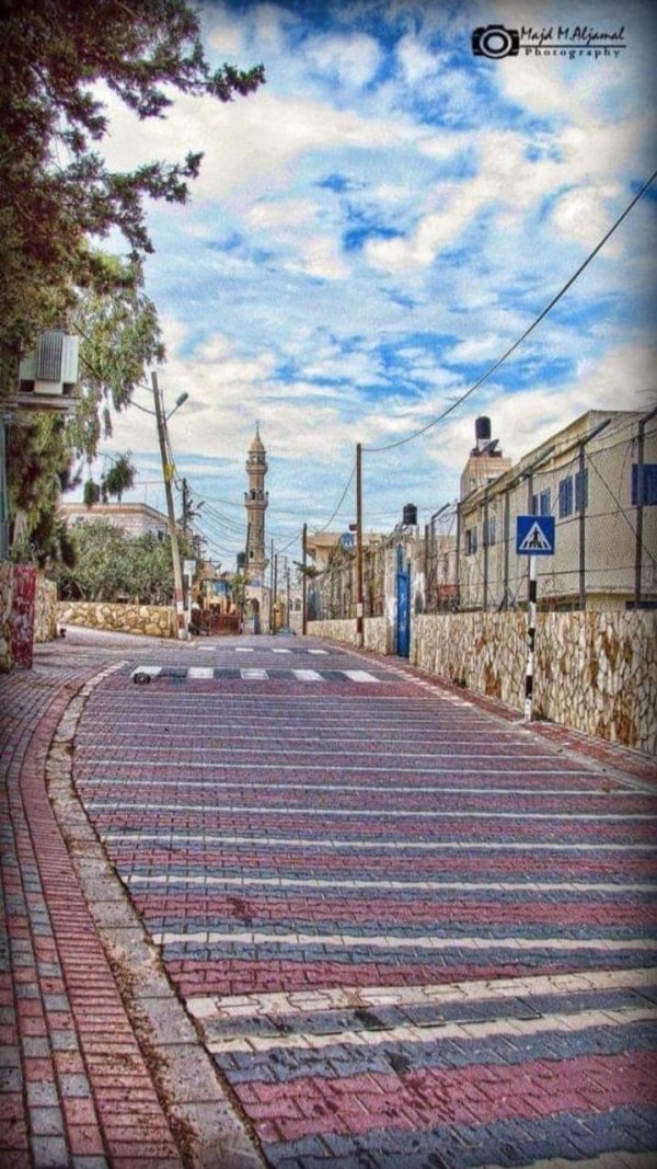 قرية بيت سوريك / القدس. بعدسة ماجد الجمل