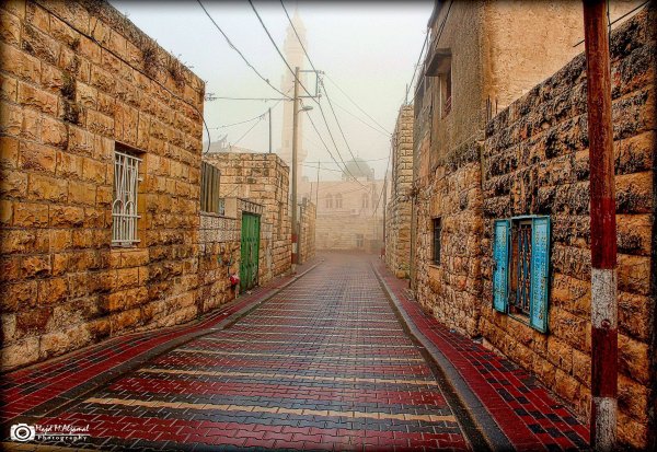 قرية بيت سوريك / القدس. بعدسة ماجد الجمل