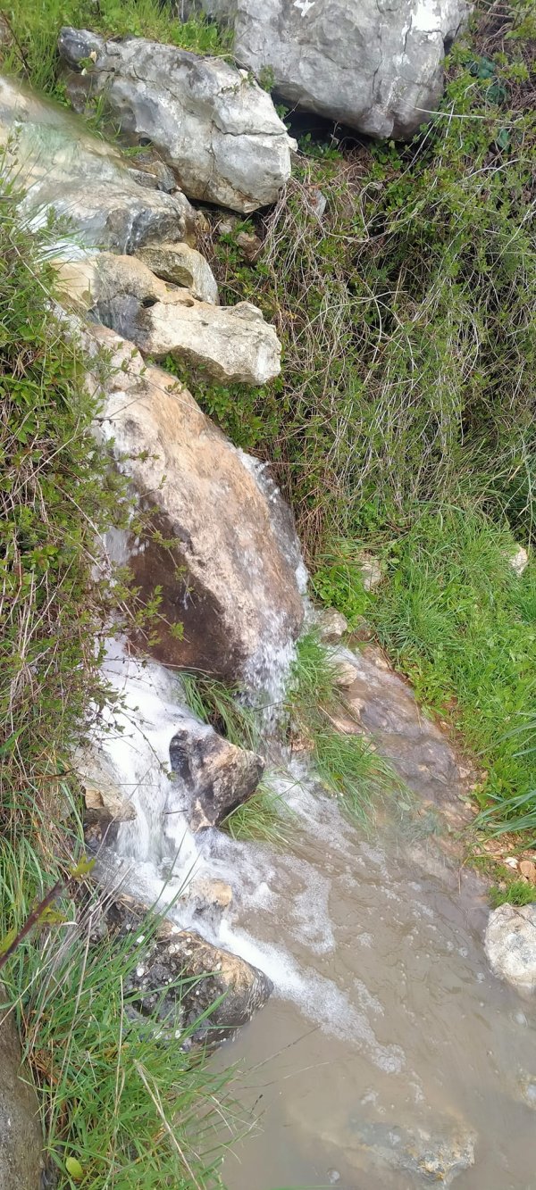 قرية بيت سوريك / القدس