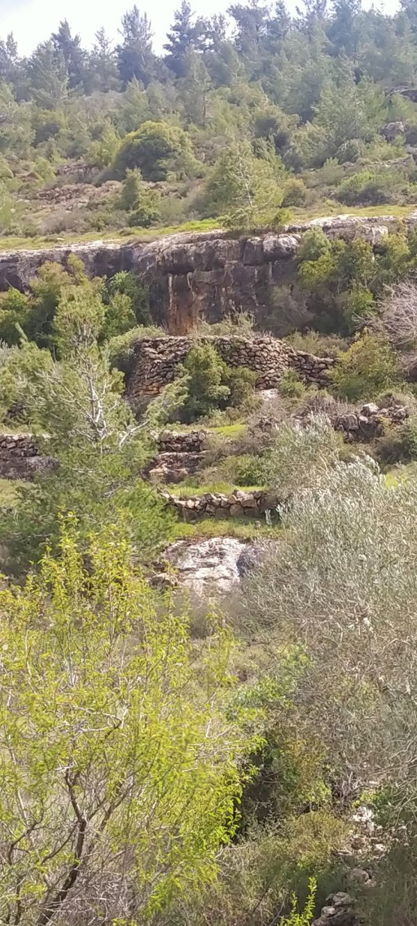 قرية بيت سوريك / القدس