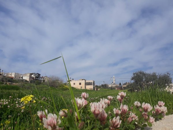 قرية بيت سوريك / القدس