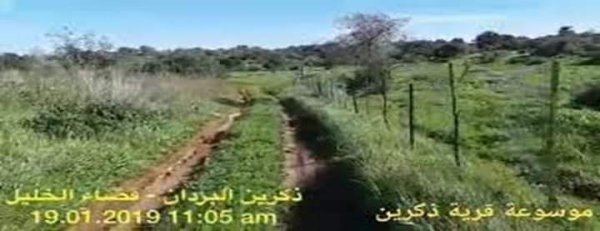 رية ذِكْرين البَرَدَان/ الخليل