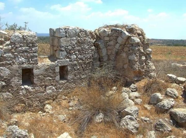 رية ذِكْرين البَرَدَان/ الخليل