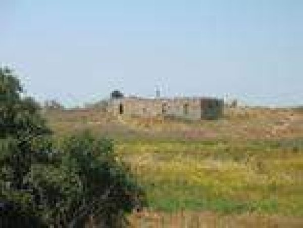 رية ذِكْرين البَرَدَان/ الخليل