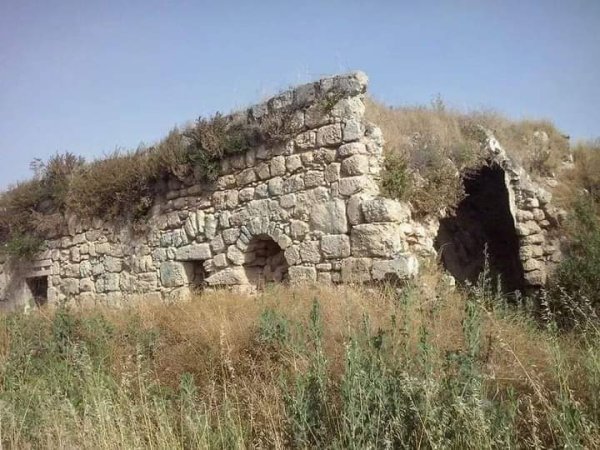 رية ذِكْرين البَرَدَان/ الخليل