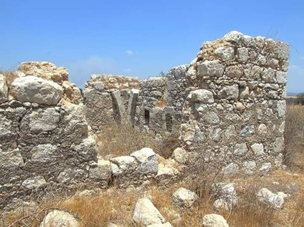 رية ذِكْرين البَرَدَان/ الخليل