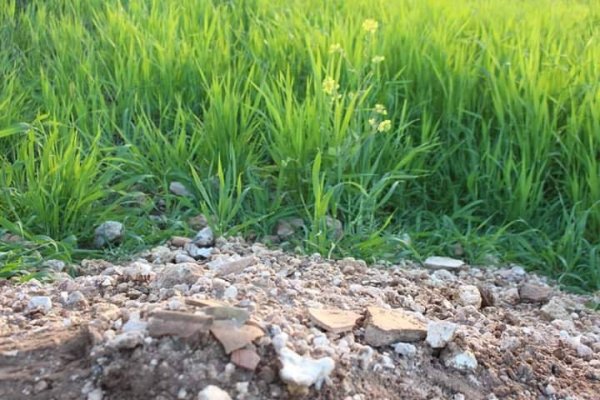 قرية بيت مرسم / دورا / الخليل