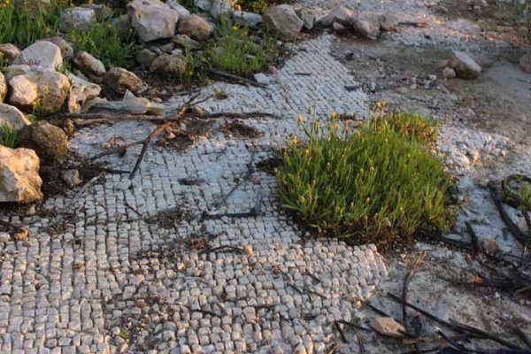 قرية بيت مرسم / دورا / الخليل