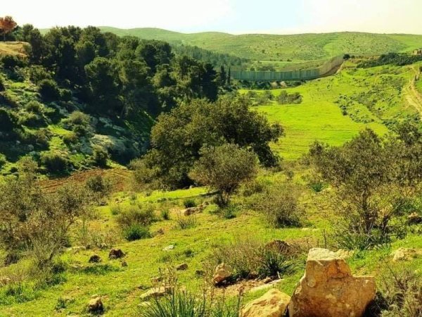  | موسوعة القرى الفلسطينية