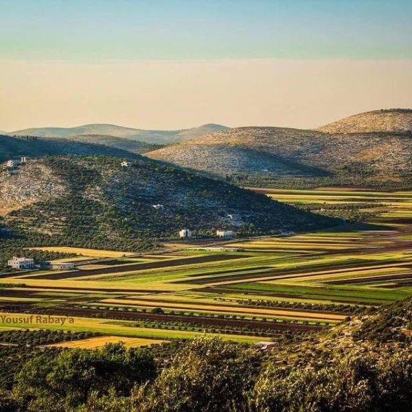 قرية ميثلون / جنين