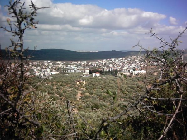 قرية ميثلون / جنين