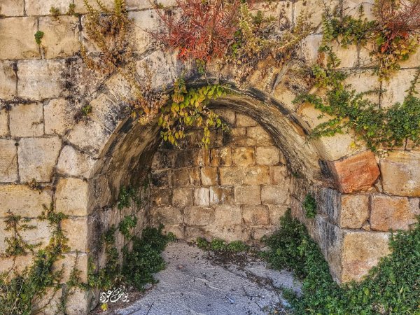  | موسوعة القرى الفلسطينية