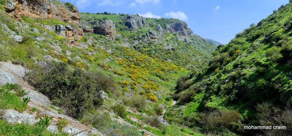 وادي الحنداج / صفد، عدسة محمد كريّم