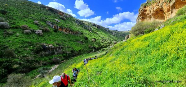 وادي الحنداج / صفد، عدسة محمد كريّم