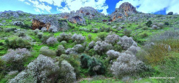 وادي الحنداج / صفد، عدسة محمد كريّم
