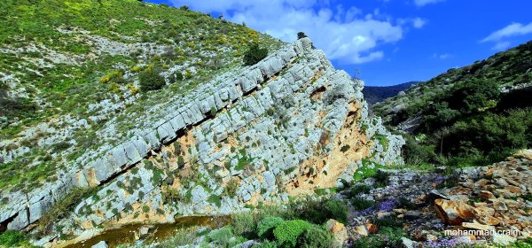 وادي الحنداج / صفد، عدسة محمد كريّم