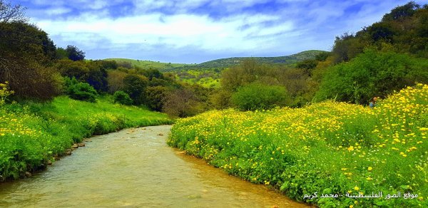 وادي الحنداج / صفد، عدسة محمد كريّم