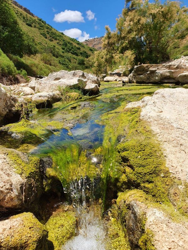 وادي الحنداج / صفد، عدسة محمد كريّم