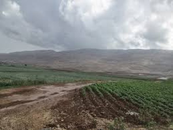 أراضي القرية