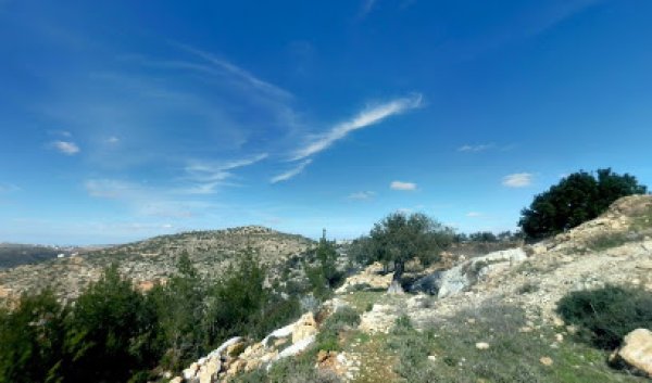  | موسوعة القرى الفلسطينية