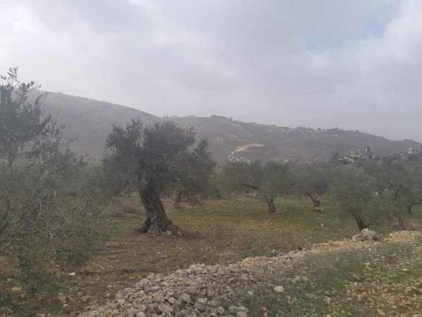  | موسوعة القرى الفلسطينية