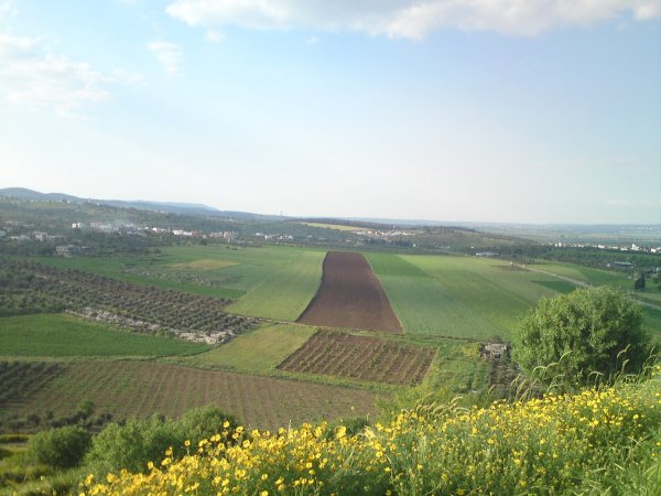  | موسوعة القرى الفلسطينية