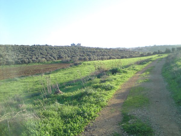  | موسوعة القرى الفلسطينية