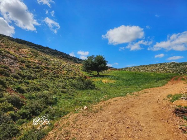  | موسوعة القرى الفلسطينية