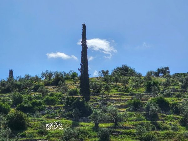  | موسوعة القرى الفلسطينية