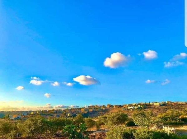  | موسوعة القرى الفلسطينية