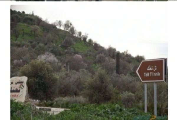  | موسوعة القرى الفلسطينية