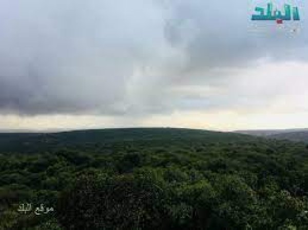  | موسوعة القرى الفلسطينية