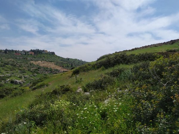  | موسوعة القرى الفلسطينية