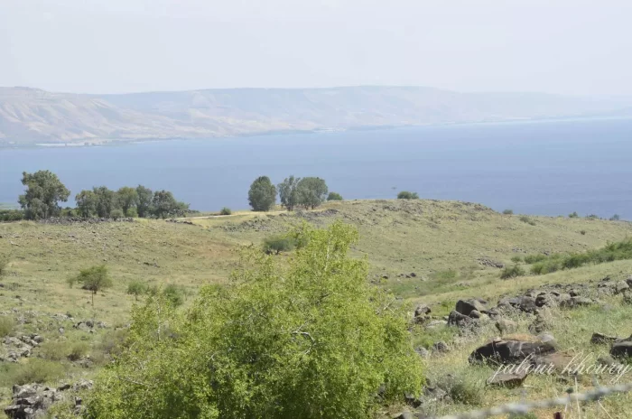 خِرْبَة الشَّطْ/ الشَّطْ  | موسوعة القرى الفلسطينية