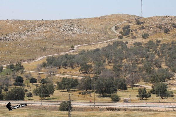  | موسوعة القرى الفلسطينية