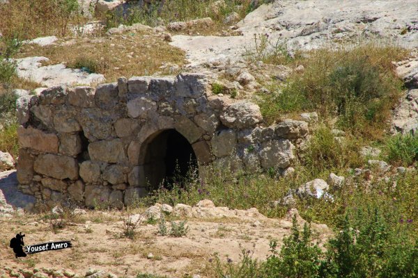  | موسوعة القرى الفلسطينية