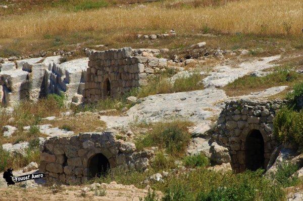  | موسوعة القرى الفلسطينية