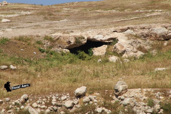  | موسوعة القرى الفلسطينية