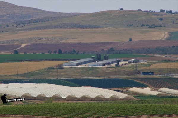  | موسوعة القرى الفلسطينية