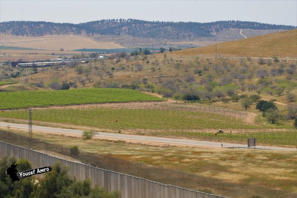  | موسوعة القرى الفلسطينية