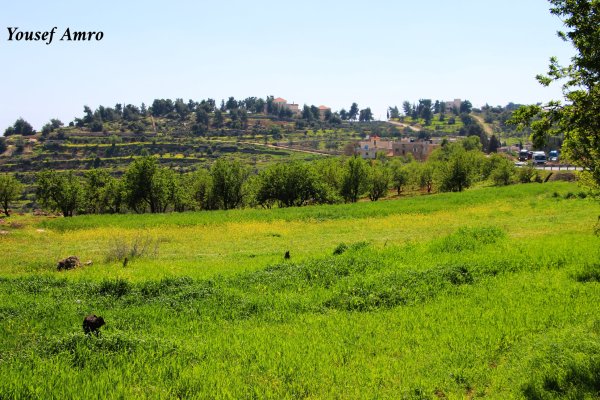  | موسوعة القرى الفلسطينية