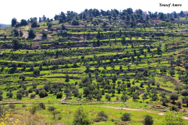  | موسوعة القرى الفلسطينية