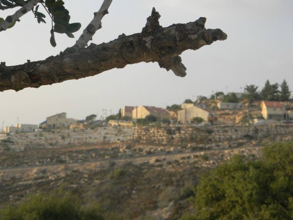  | موسوعة القرى الفلسطينية