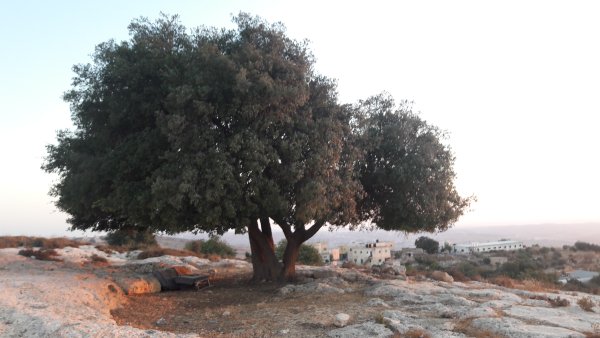  | موسوعة القرى الفلسطينية