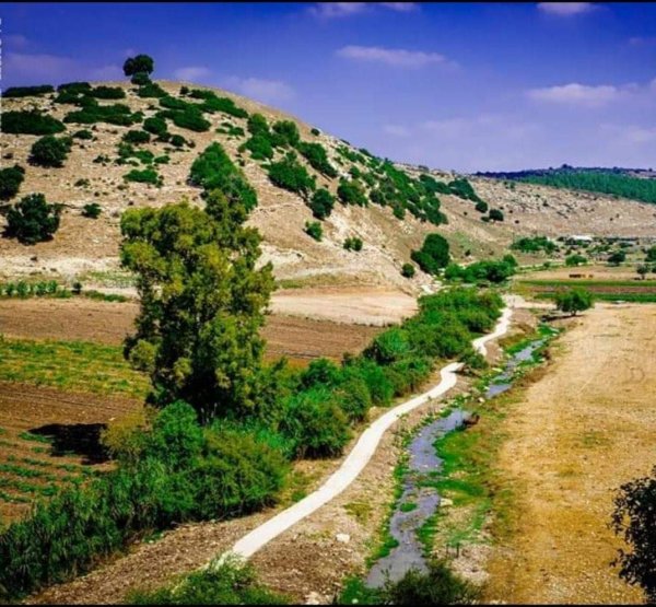  | موسوعة القرى الفلسطينية